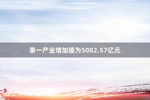 第一产业增加值为5082.57亿元