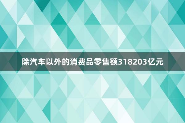 除汽车以外的消费品零售额318203亿元