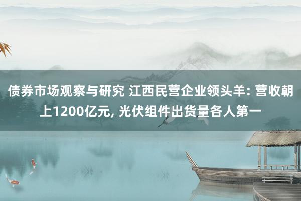 债券市场观察与研究 江西民营企业领头羊: 营收朝上1200亿元, 光伏组件出货量各人第一