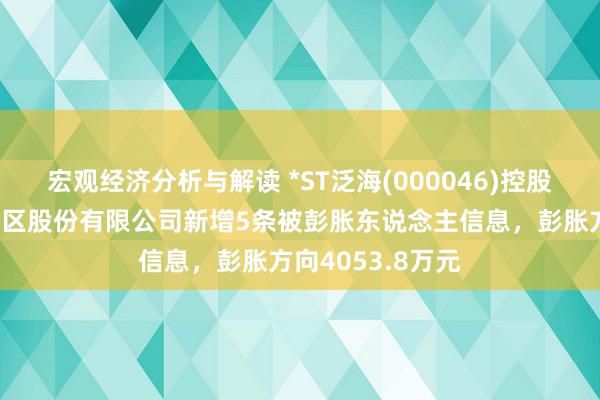 宏观经济分析与解读 *ST泛海(000046)控股的武汉中央商务区股份有限公司新增5条被彭胀东说念主信息，彭胀方向4053.8万元