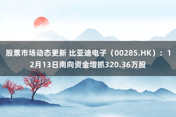 股票市场动态更新 比亚迪电子（00285.HK）：12月13日南向资金增抓320.36万股