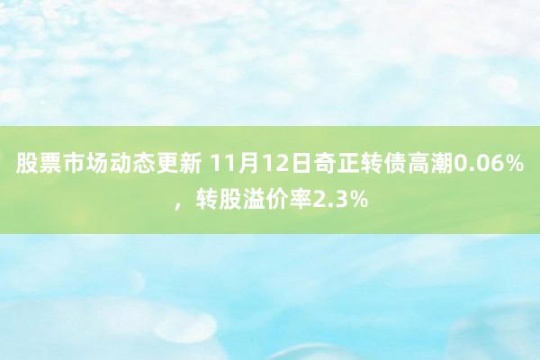 股票市场动态更新 11月12日奇正转债高潮0.06%，转股溢价率2.3%