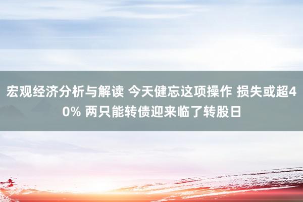 宏观经济分析与解读 今天健忘这项操作 损失或超40% 两只能转债迎来临了转股日