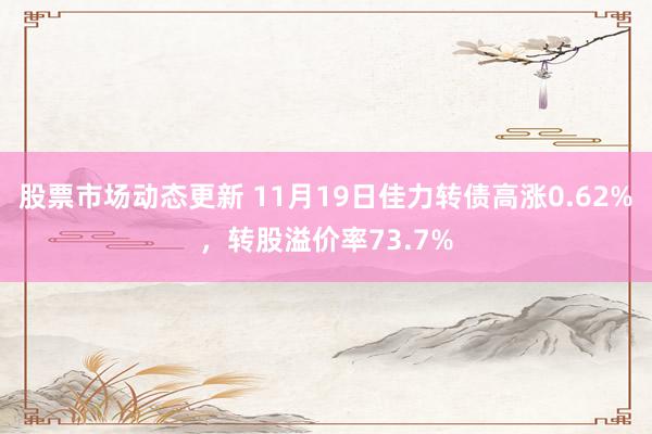 股票市场动态更新 11月19日佳力转债高涨0.62%，转股溢价率73.7%