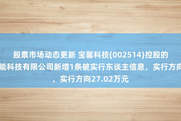 股票市场动态更新 宝馨科技(002514)控股的安徽宝馨光能科技有限公司新增1条被实行东谈主信息，实行方向27.02万元