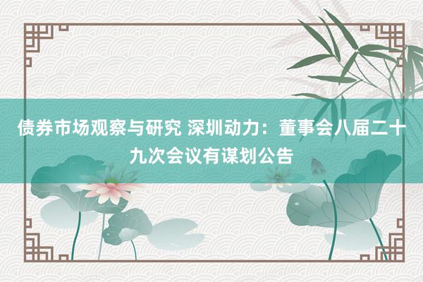 债券市场观察与研究 深圳动力：董事会八届二十九次会议有谋划公告