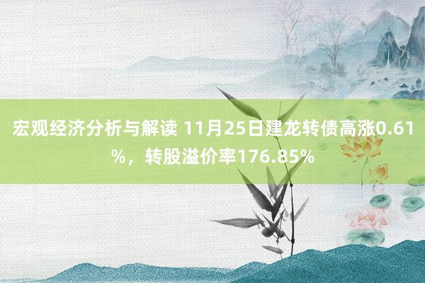 宏观经济分析与解读 11月25日建龙转债高涨0.61%，转股溢价率176.85%