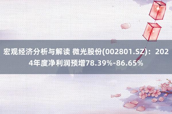 宏观经济分析与解读 微光股份(002801.SZ)：2024年度净利润预增78.39%-86.65%