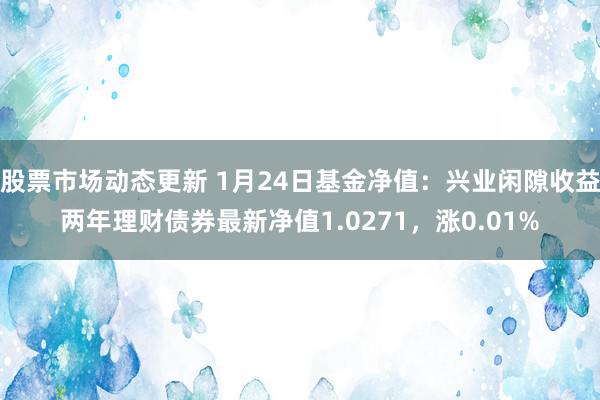 股票市场动态更新 1月24日基金净值：兴业闲隙收益两年理财债券最新净值1.0271，涨0.01%