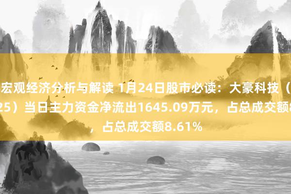 宏观经济分析与解读 1月24日股市必读：大豪科技（603025）当日主力资金净流出1645.09万元，占总成交额8.61%