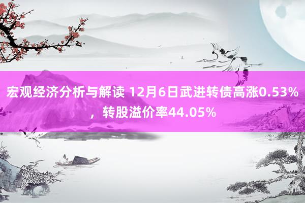 宏观经济分析与解读 12月6日武进转债高涨0.53%，转股溢价率44.05%