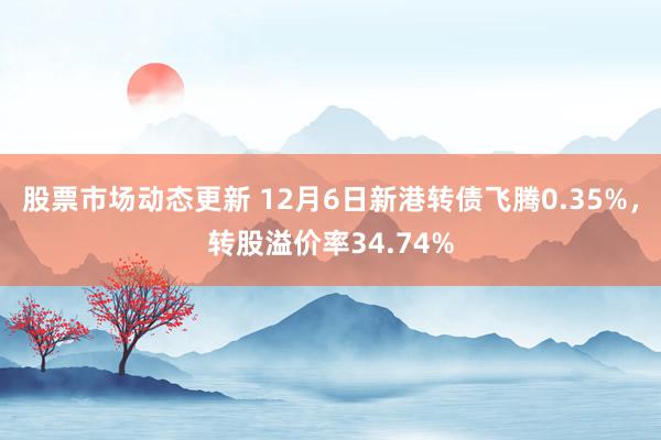 股票市场动态更新 12月6日新港转债飞腾0.35%，转股溢价率34.74%