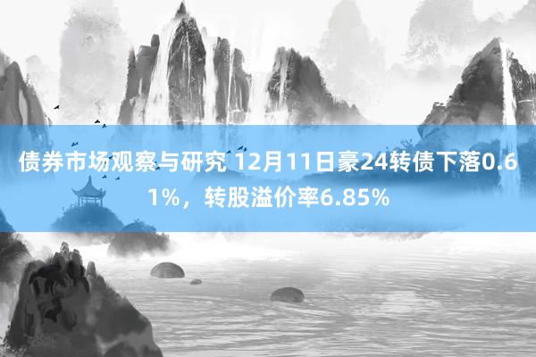 债券市场观察与研究 12月11日豪24转债下落0.61%，转股溢价率6.85%