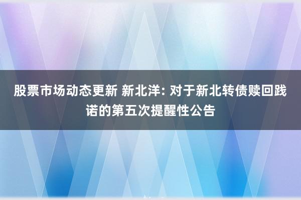 股票市场动态更新 新北洋: 对于新北转债赎回践诺的第五次提醒性公告