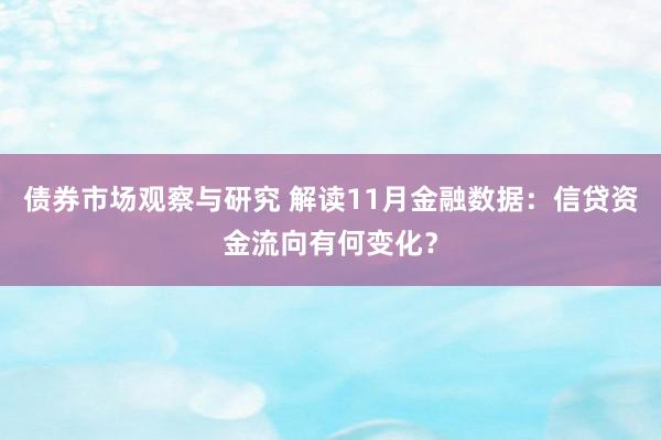 债券市场观察与研究 解读11月金融数据：信贷资金流向有何变化？