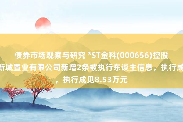 债券市场观察与研究 *ST金科(000656)控股的安徽西湖新城置业有限公司新增2条被执行东谈主信息，执行成见8.53万元