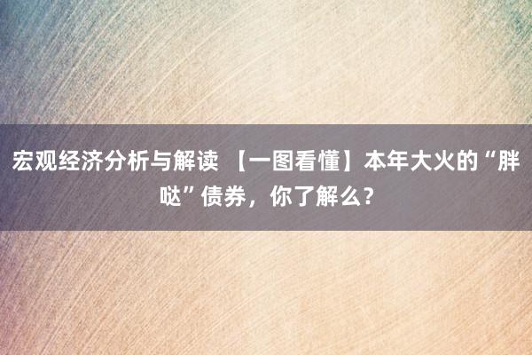 宏观经济分析与解读 【一图看懂】本年大火的“胖哒”债券，你了解么？