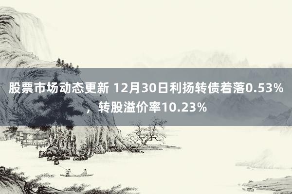 股票市场动态更新 12月30日利扬转债着落0.53%，转股溢价率10.23%