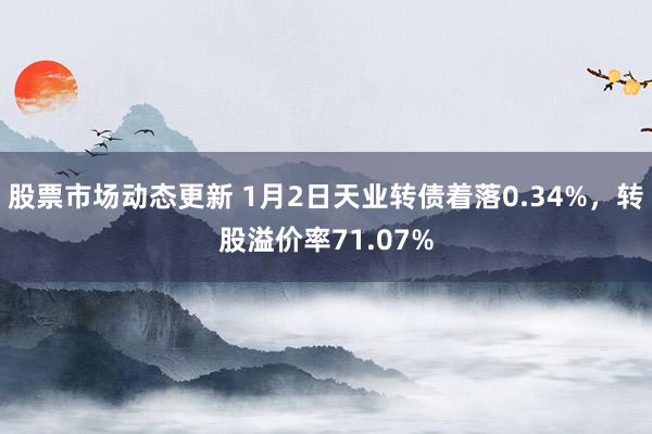 股票市场动态更新 1月2日天业转债着落0.34%，转股溢价率71.07%