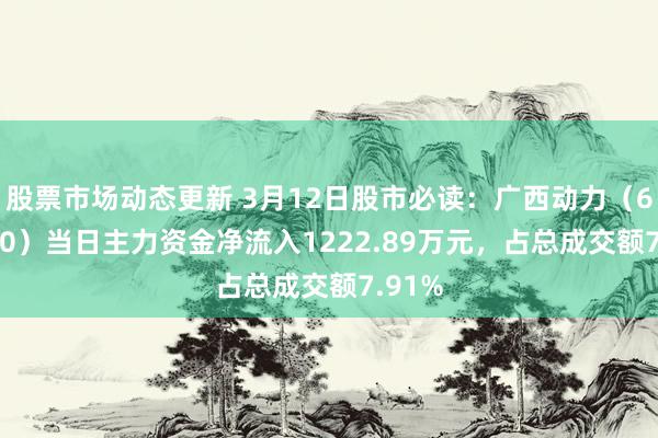 股票市场动态更新 3月12日股市必读：广西动力（600310）当日主力资金净流入1222.89万元，占总成交额7.91%