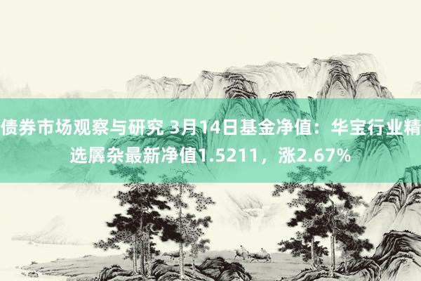 债券市场观察与研究 3月14日基金净值：华宝行业精选羼杂最新净值1.5211，涨2.67%