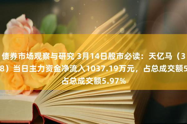 债券市场观察与研究 3月14日股市必读：天亿马（301178）当日主力资金净流入1037.19万元，占总成交额5.97%